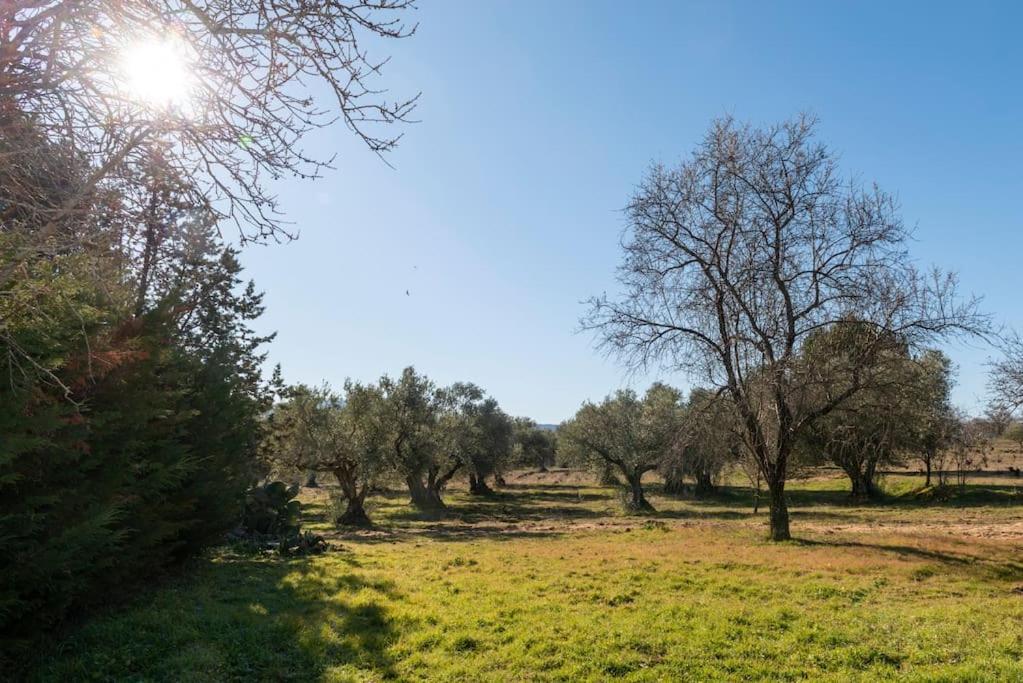 Finca El Palomar De La Vina Madrid Exterior photo