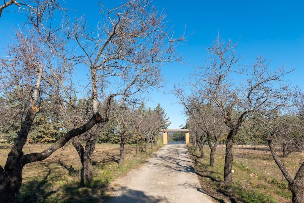 Finca El Palomar De La Vina Madrid Exterior photo