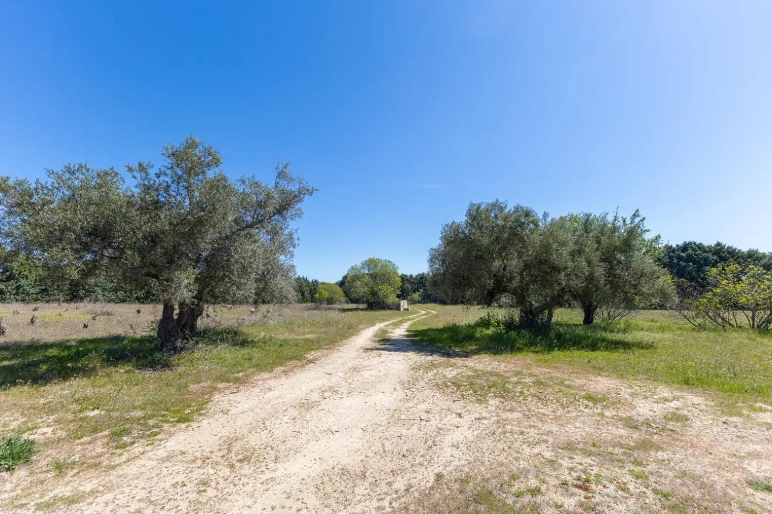 Finca El Palomar De La Vina Madrid Exterior photo